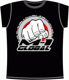 Fighting, Martial Arts, Борьба, Бои без Правил, Боевые Искусства